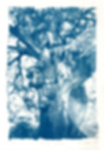 Tree Waves 2
