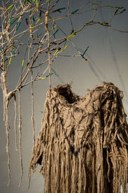 The Roots - DSCF7929_-1.jpg