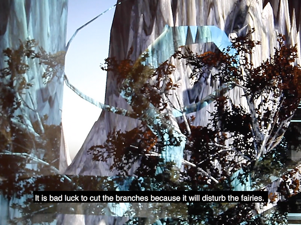 HIGHLIGHT 4.png