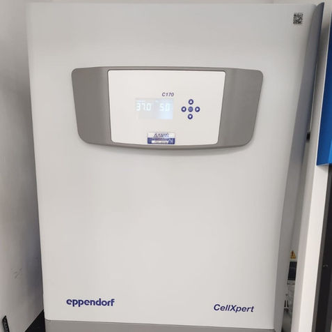 CellXpert C170 - Cell Culture Incubator