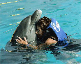 edolphin.gif