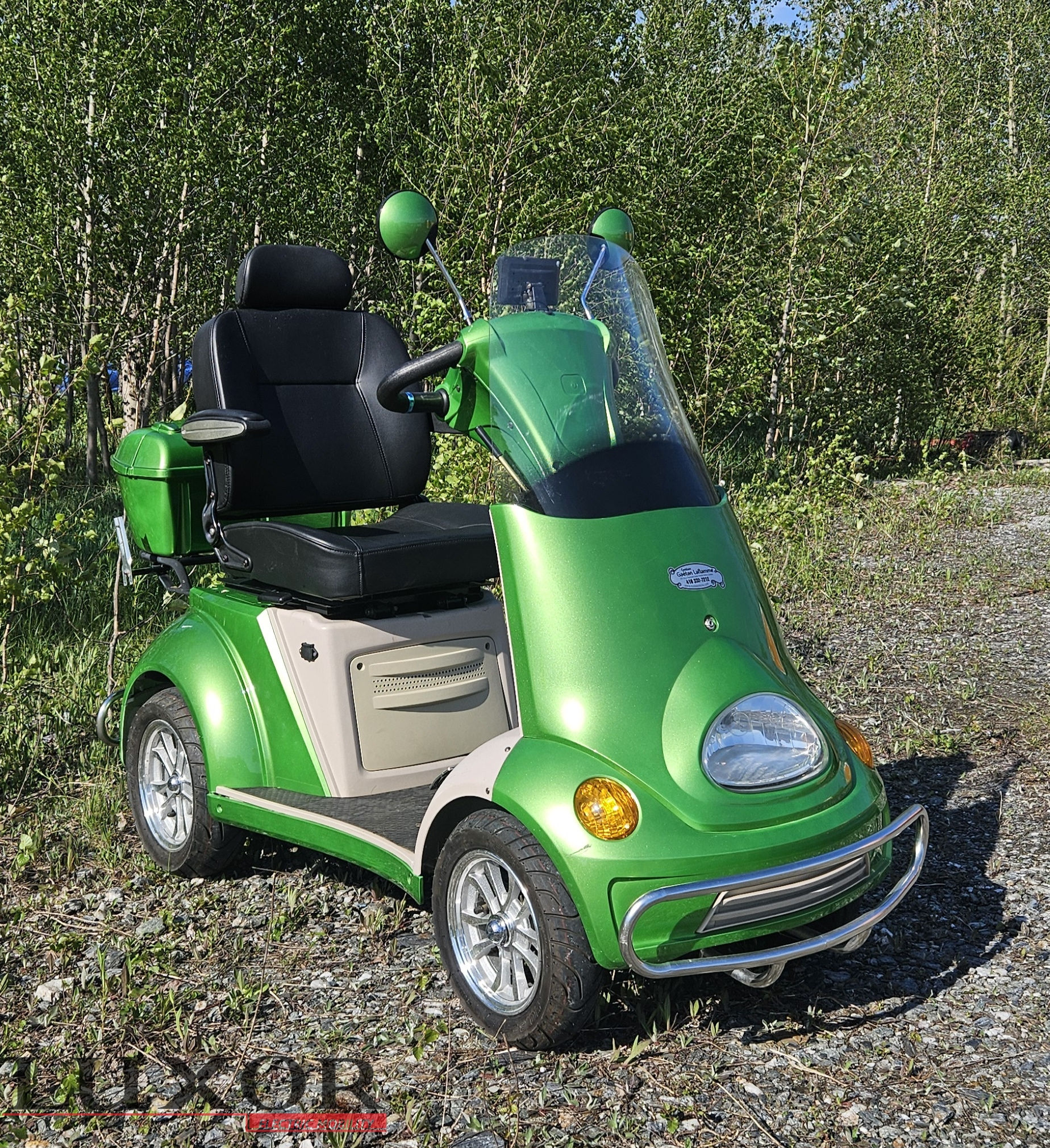 LSS MINI BEETLE 60V USAGER