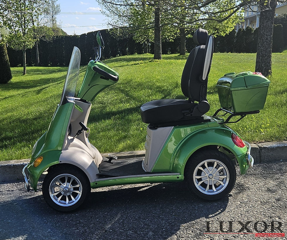 Thumbnail: LSS MINI BEETLE 60V USAGER
