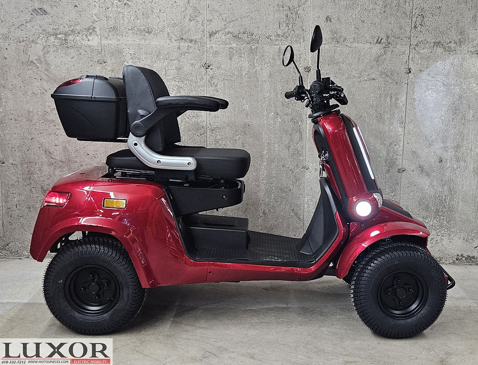 QUADRIPORTEUR LUXOR ROVER