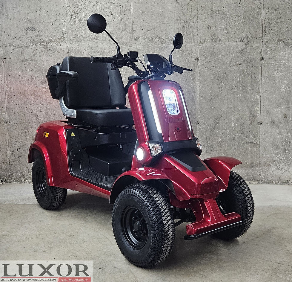 QUADRIPORTEUR LUXOR ROVER