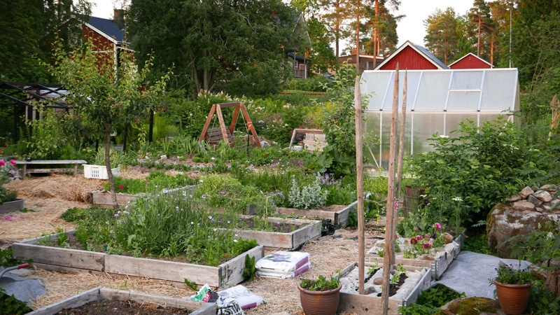 Odlingslådor av breda plankor