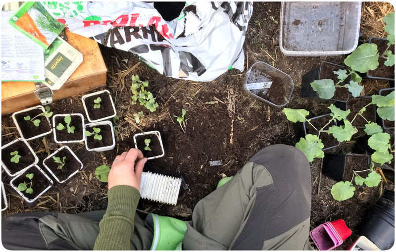 Uppladdning och återhämtning på ett grönt sätt