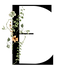 E.png