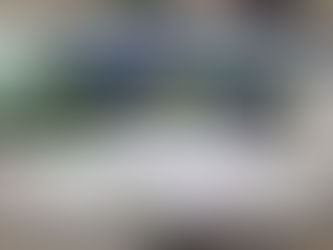 Website for the IRL ChiMP4IC is live!