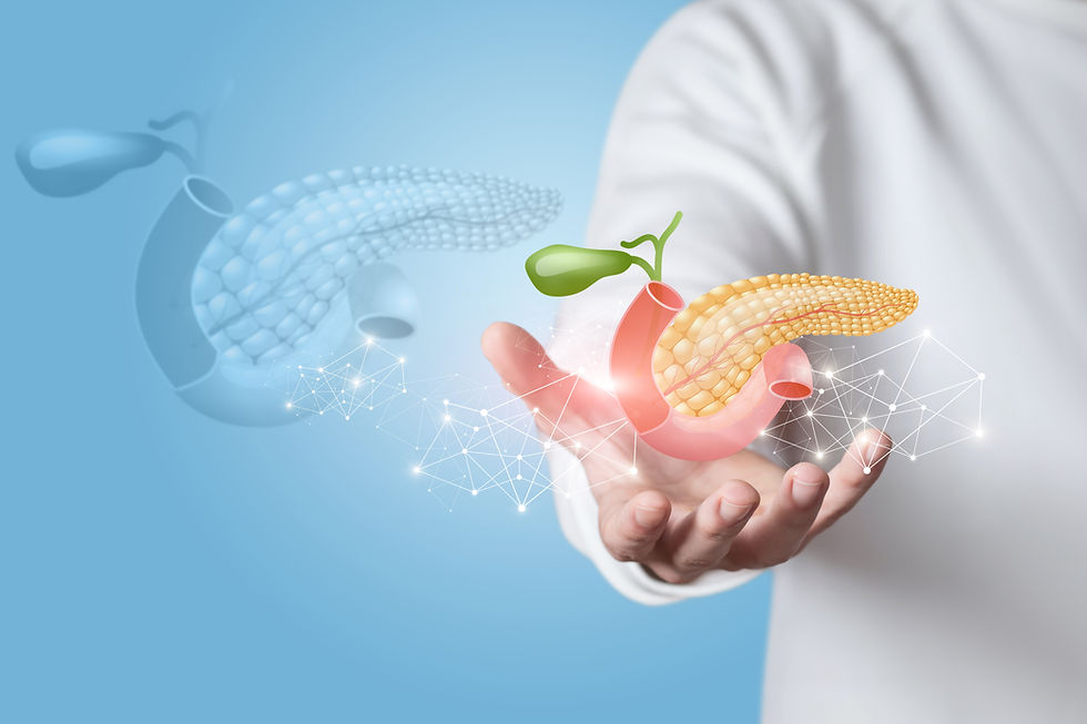 Hand shows the pancreas on a blue background..jpg