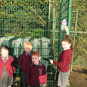 Bird Feeders