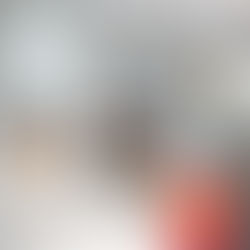 Pidgeon Residence, Miami, Florida