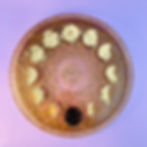 Plateau cycle lunaire