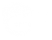 Logo CFNE