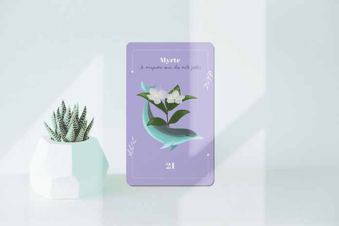 Oracle Les Essentielles