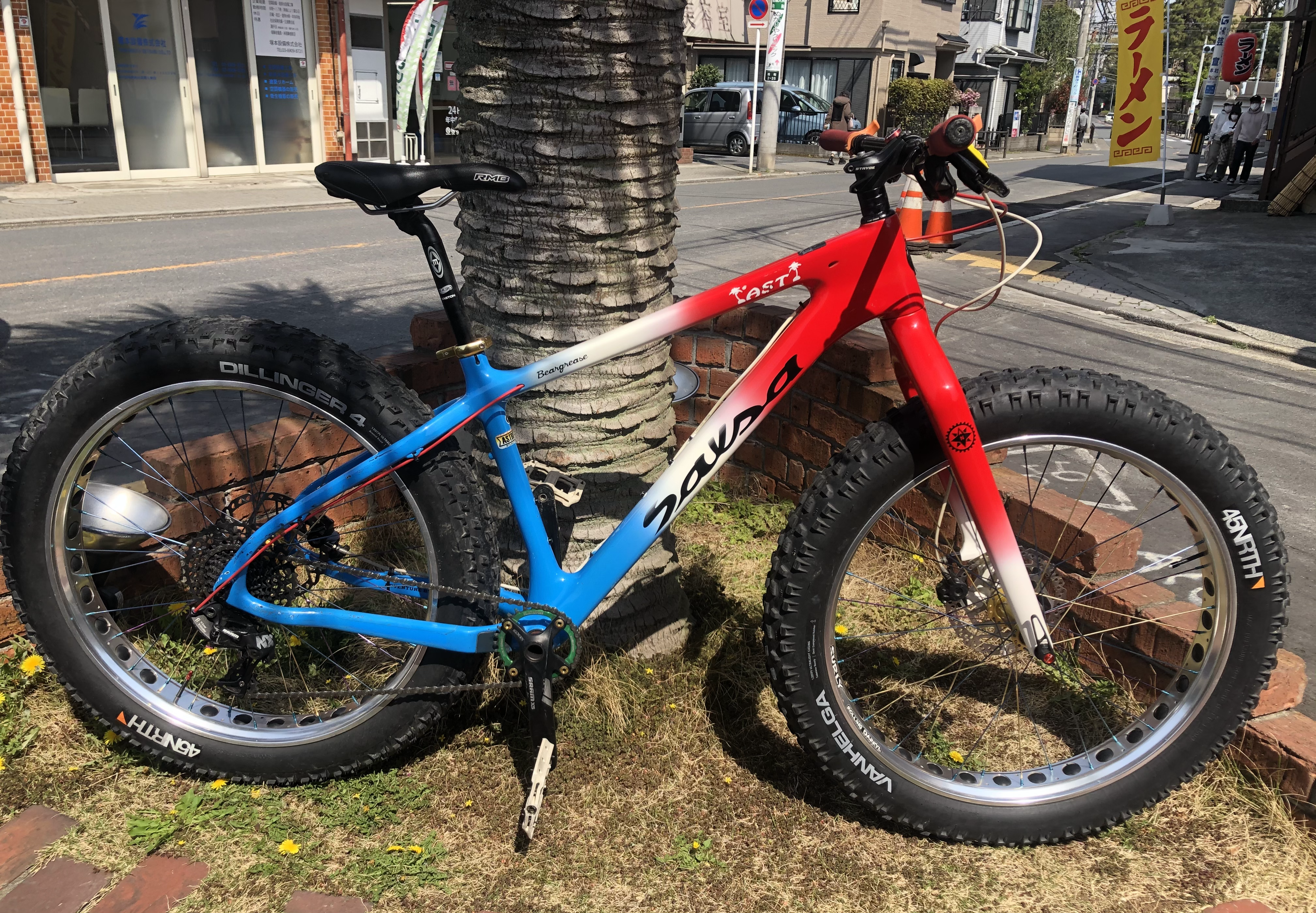 SALSA BEARGREASE CARBON