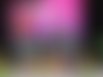 Un fin de semana motivando a niñxs y jóvenes a reconectar con la naturaleza