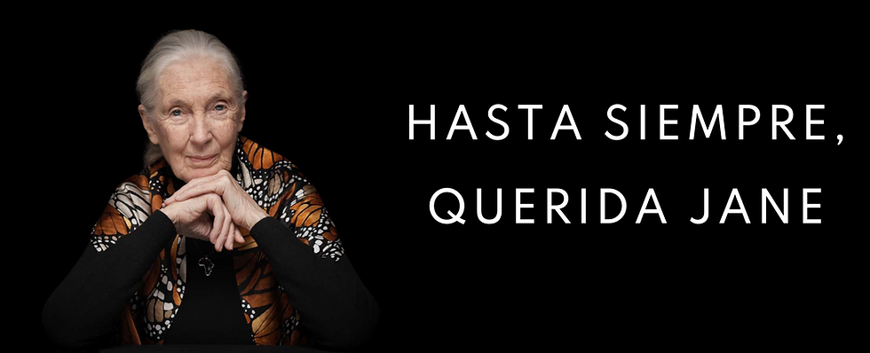 Hasta siempre, querida Jane