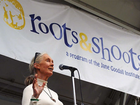 Jane Goodall: Una mujer inspiradora