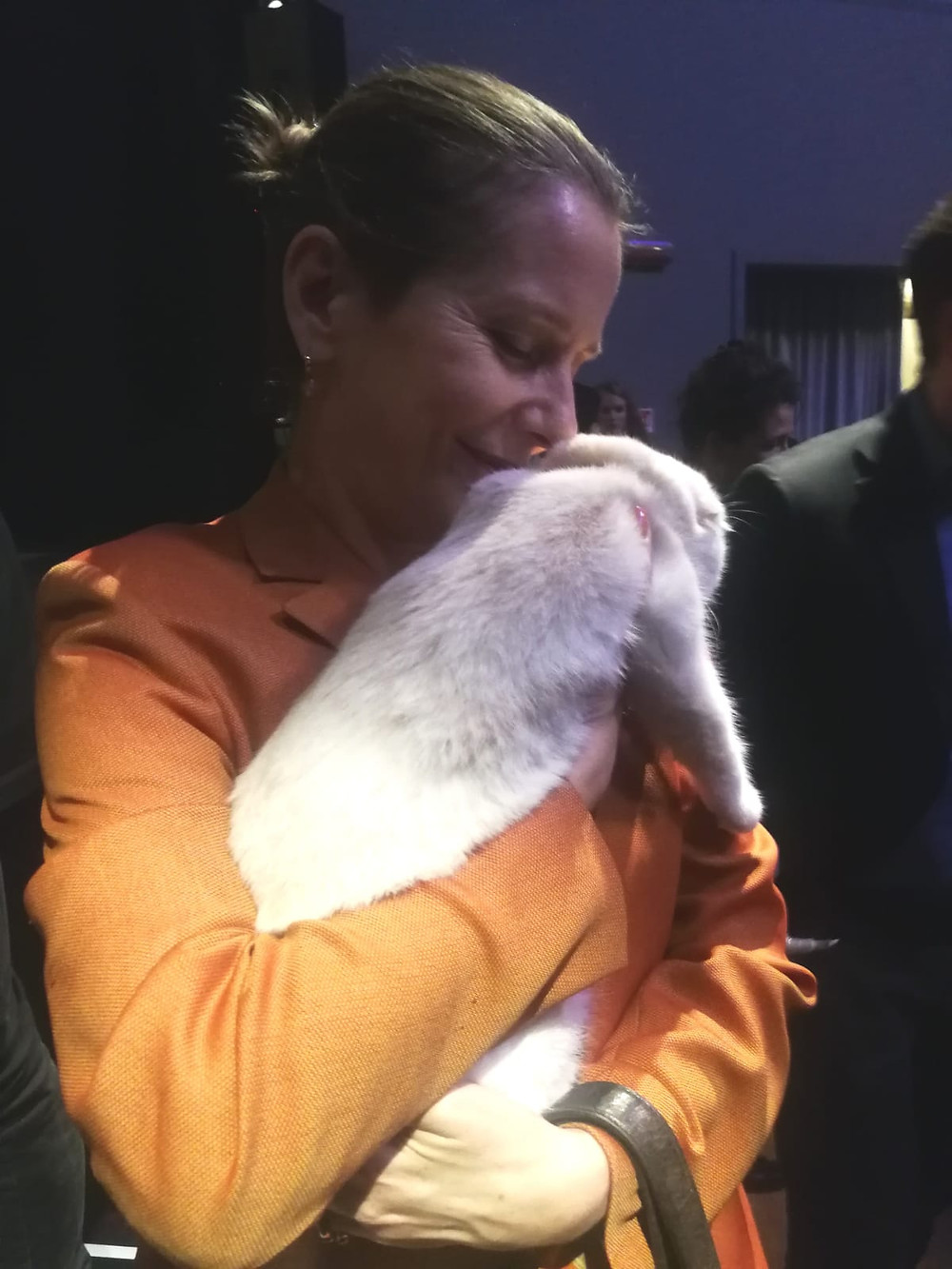 Gatti Addestrati per eventi