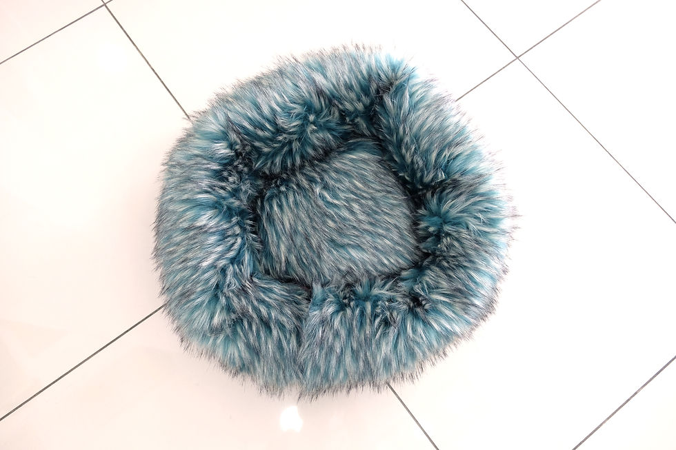 Miniatura: Cuccia pelosa per cani
