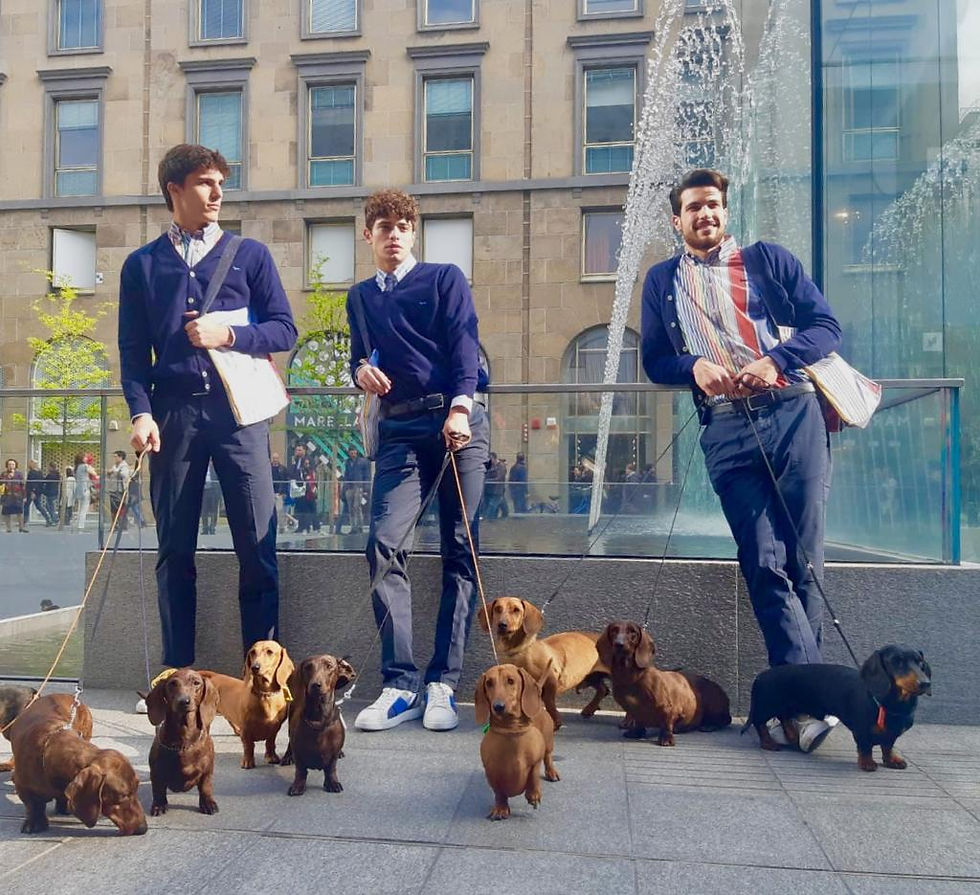 Cani addestrati per eventi