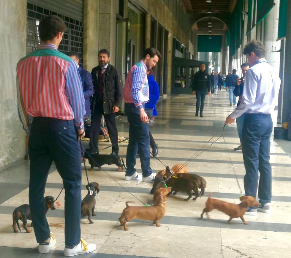 CatWalk Milano