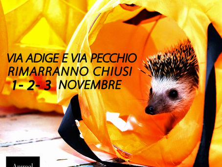 🎃Chiusura Punti vendita 1-2-3 Novembre