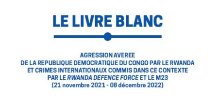 Agression et crimes du rwanda au Congo (RDC): Le livre blanc