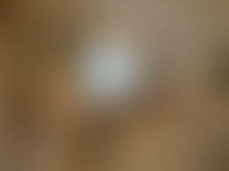 Project #115 Door Repainting