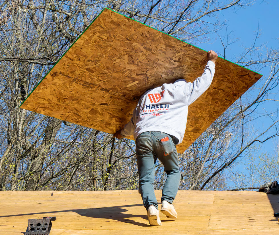 IMG_1095-Enhanced-NR