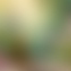 Les fleurs de Bach & la rentrée des classes