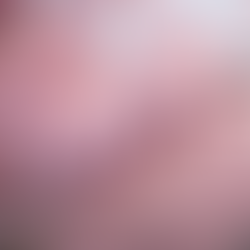 La symbolique des fleurs de cerisier dans le monde entier