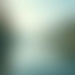 The Importance of Mindfulness in Daily Life