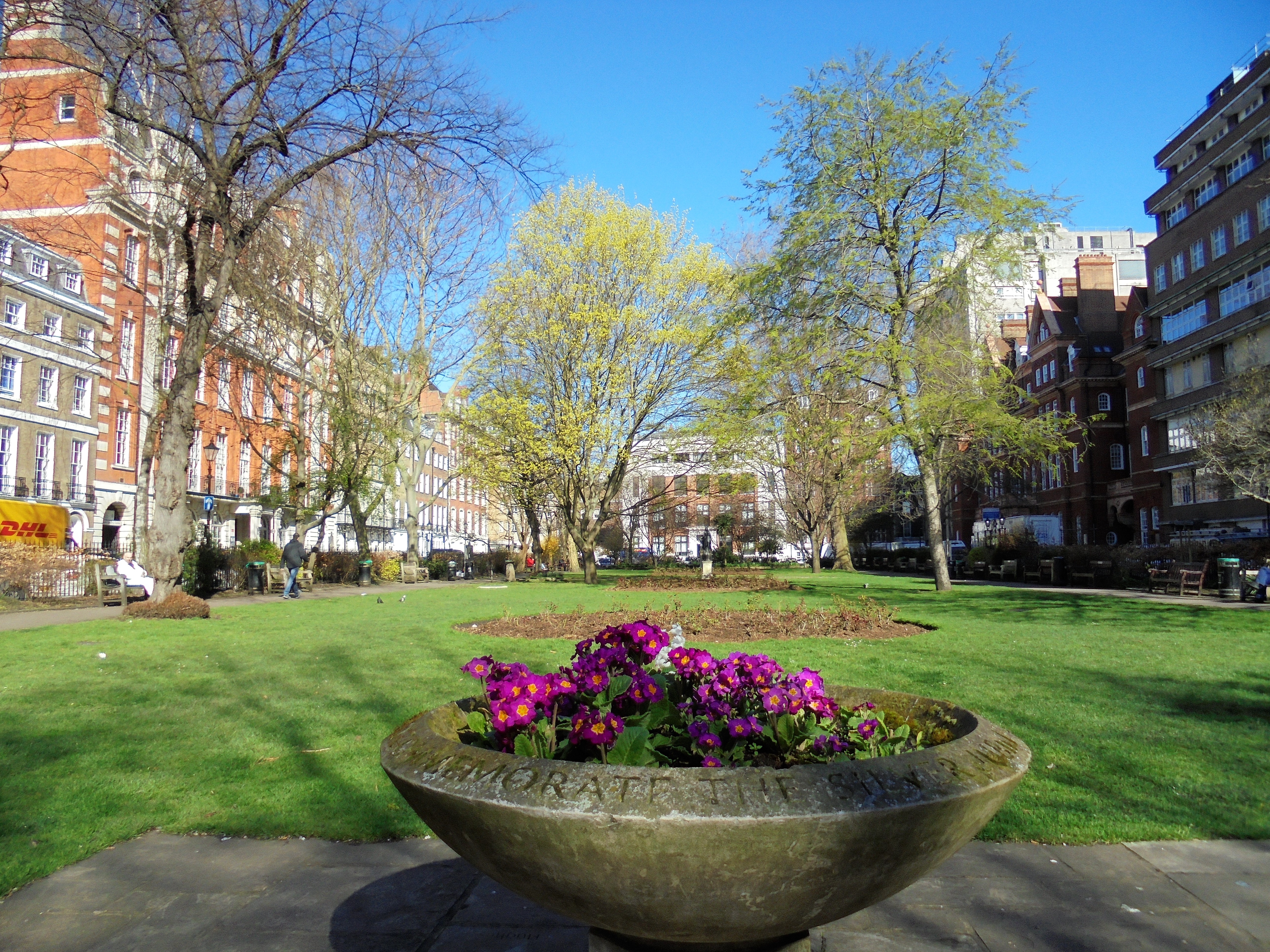 Queen Square Gardens