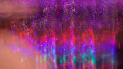 IMG_8623 - Version 2.jpg