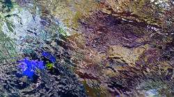 IMG_5589 - Version 2.jpg