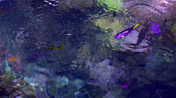 0Q0A1205