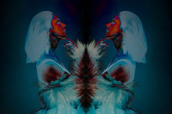 _Q0A4975-4