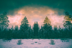 _Q0A9686-5