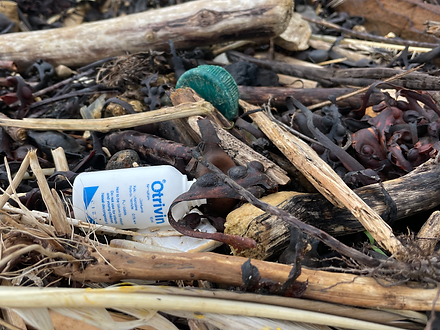Plastic pollution Isle of Wight