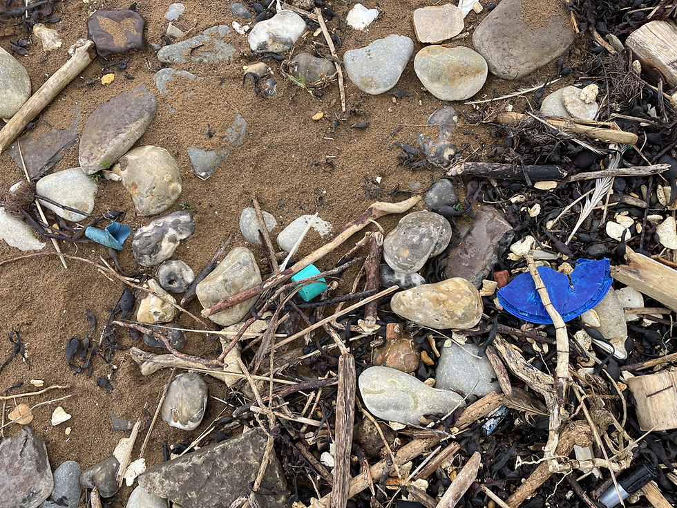Planet Aware cigarette butt litter awareness at Ryde