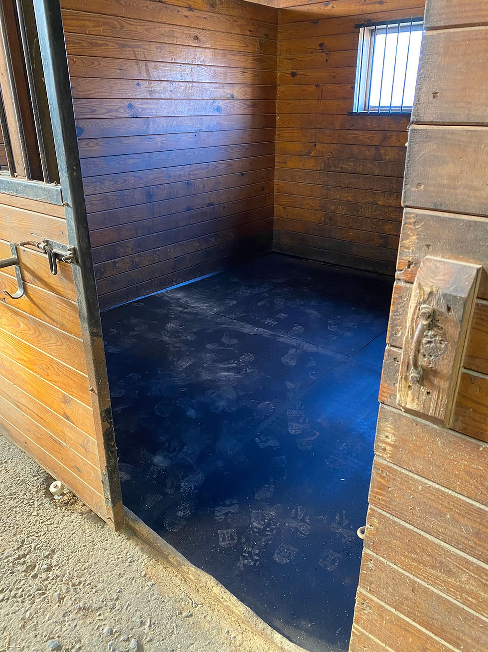 BOARDING Dream Catcher Ranch