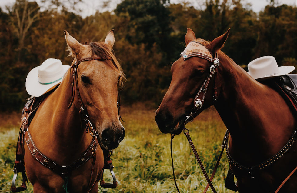 HOME Dream Catcher Ranch
