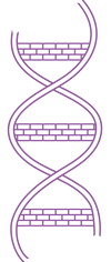 TBR Wellness & Rehab Logo