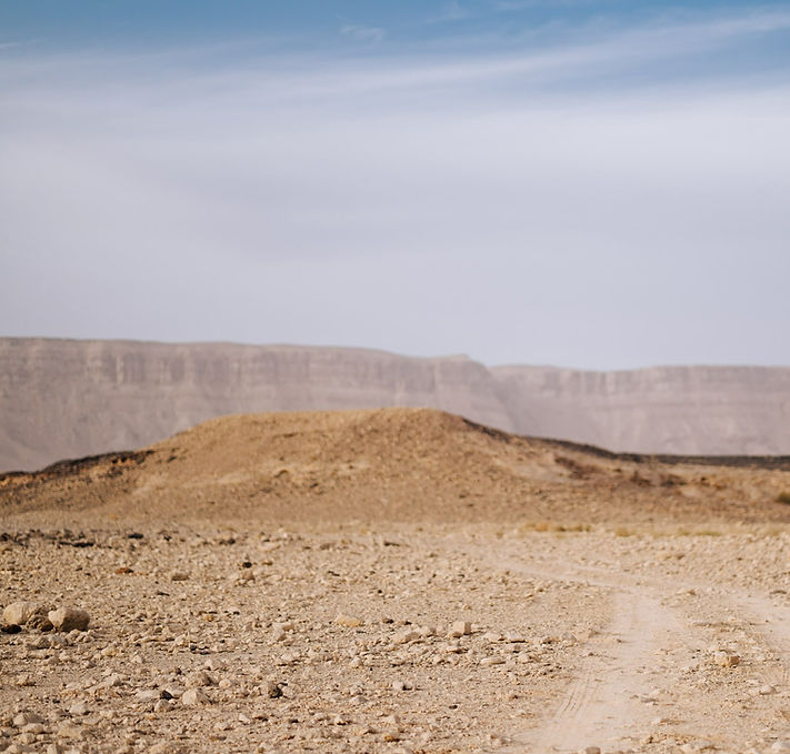 desert background tiny.jpg