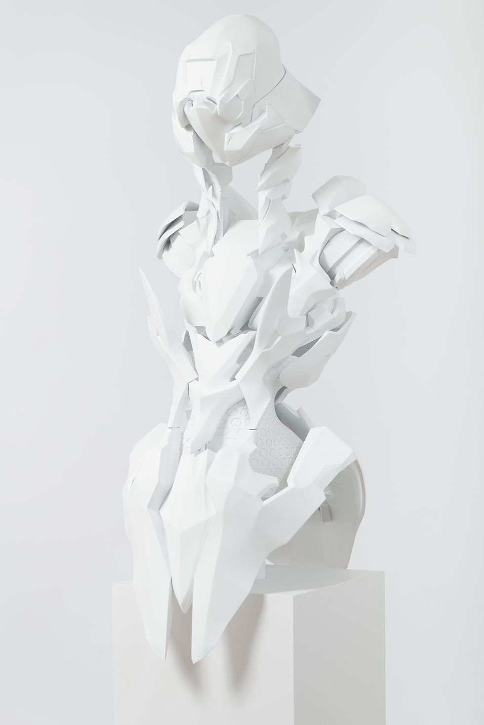 torso_01.jpg