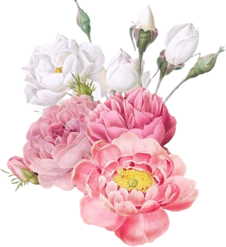 Flor1.png