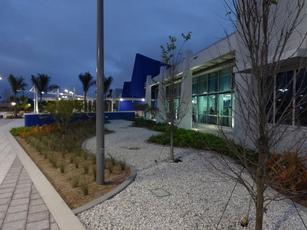 Front landscape area