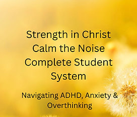 Calm the Noise - Complete System